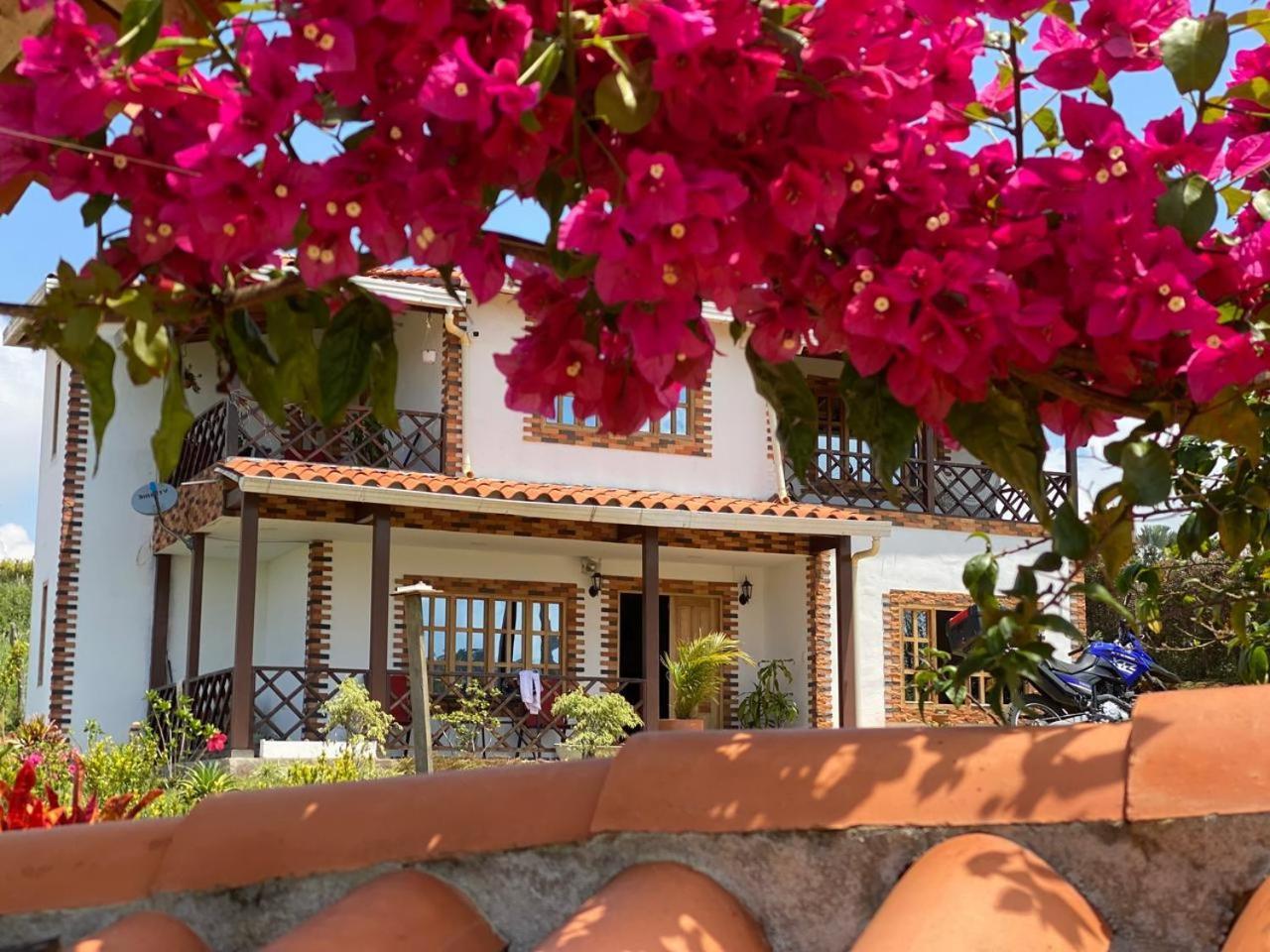 Nikitina Villa